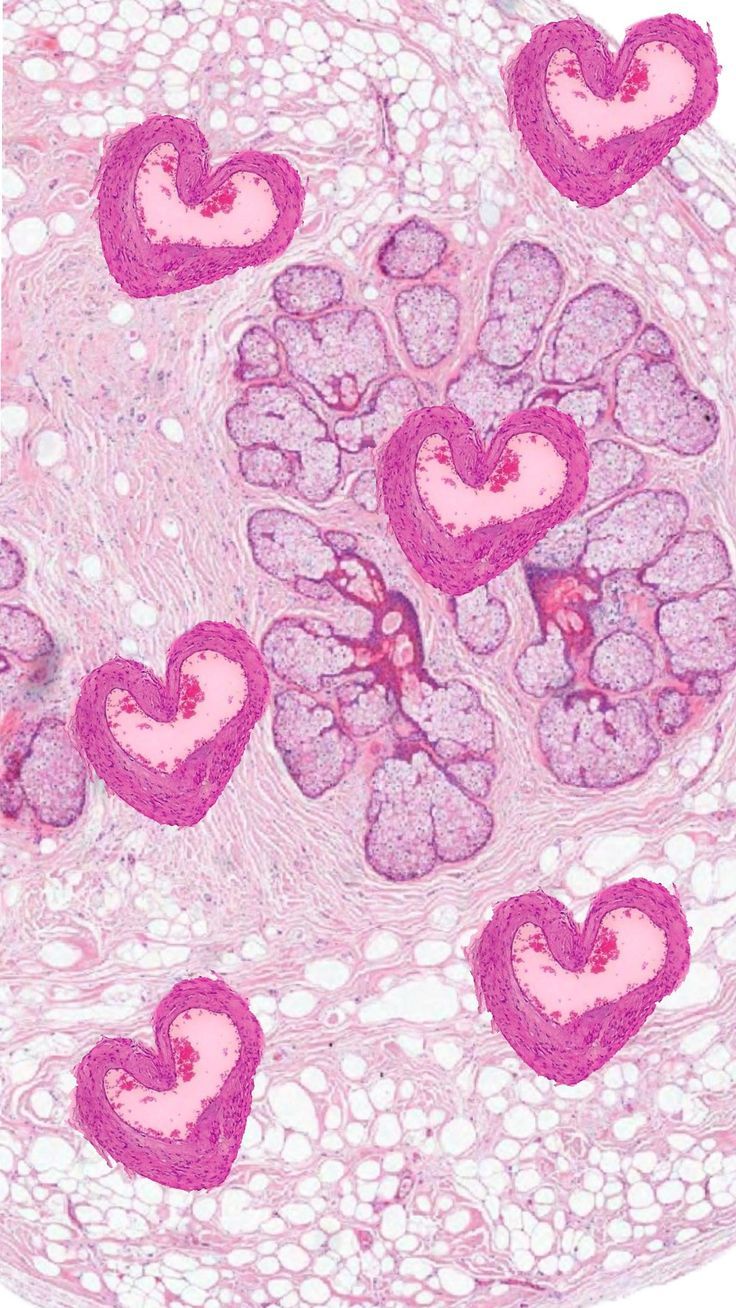 photography of pink heart shaped cells when viewed under a microscope, showing that i love BIOLOGY!!!!!!!