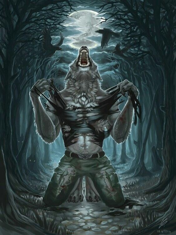real photo of me, the true alpha wolf in the wild in the woods howling at the moon (this is a joke, this is a handrawn image)