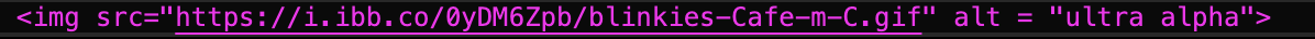 copy and pasted the code and added alt text (based on whatever you put as your blinkie text)
                                then added a greater than sign to close the img code